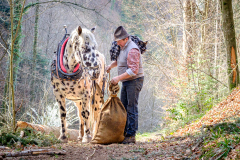 Verdiente-Rast_Bertram-Waldner_2020