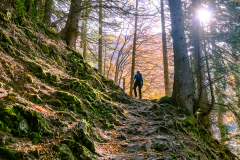 Wanderung-Bertram-Waldner-2020