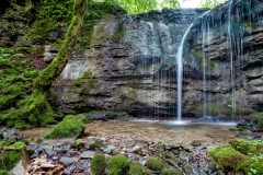 Wasser und Moos