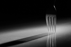0010_Gabelschatten_RolandGeuze
