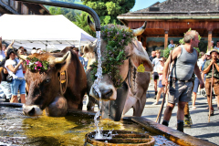 004_Almabtrieb_GiselaKuzel