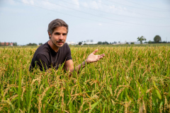 017_Reisanbau_KarinMuellerVoegel