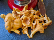 024_Waldernte_KarinMuellerVoegel