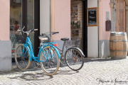 0072_Clubausflug-Italien_IMG_3388@Fototeam-Digital-2019