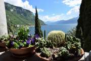 0137_Clubausflug-Italien_DSC_0503@Fototeam-Digital-2019