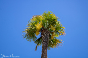 0171_Clubausflug-Italien_IMG_3452@Fototeam-Digital-2019