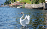 0314_Clubausflug-Italien_IMG_3569@Fototeam-Digital-2019