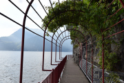 0364_Clubausflug-Italien_DSC_0652@Fototeam-Digital-2019