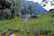 0474_Clubausflug-Italien_DSC_0801@Fototeam-Digital-2019