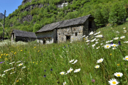 0656_Clubausflug-Italien_DSC_0018@Fototeam-Digital-2019