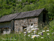 0669_Clubausflug-Italien_IMG_3918@Fototeam-Digital-2019