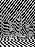 0002_Zebra_Thomas_Sprenger