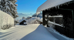 0004_Winterlandschaft_Stefanie_Moosmann