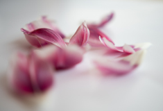 0008_verblAht_marianna_moosbrugger