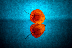 0010_TealOrange_Remo_Stechert