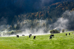 0028_Morgendunst_joke_hendrikse