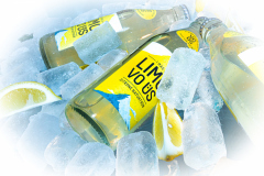 0037_Limo_Christine_Schuler-1