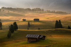 0059_GoldenMorning_Christoph_Mennel