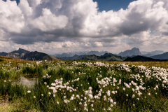 0068_Diedamskopf_Rudolf_WeingNrtner