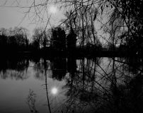 Annemarie_Maldoner_Stimmung Annemarie_Maldoner_Stimmung