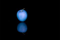 Michael_Widmann_1_Blue-Appel Michael_Widmann_1_Blue-Appel