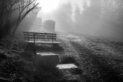 Rudolf_Weingärtner_früher-Morgen