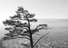 Stefanie_Moosmann_Karrenblick