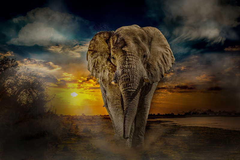 0024_Namibia_Mario_Stecher