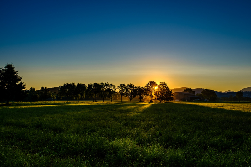 0038_Morgenstund_Antje_Stechert
