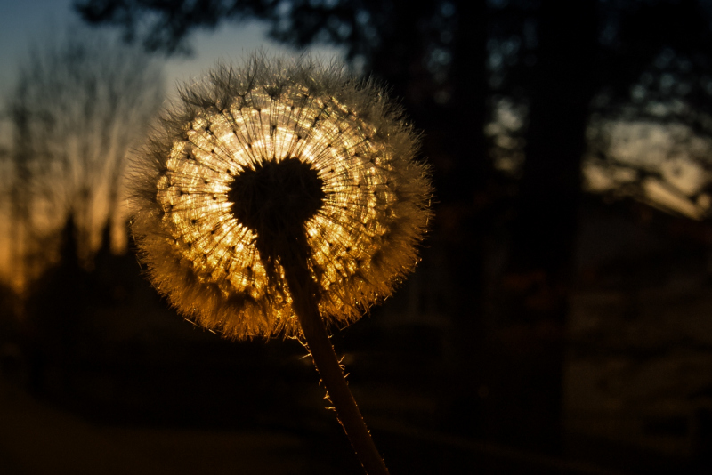 0096_sonnenuntergang_michael_widmann