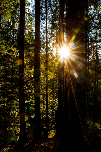 0115_Lichtblick_Andrea_Grabher