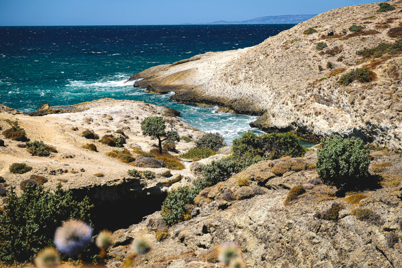 0126_Milos_Thomas_deMeijer