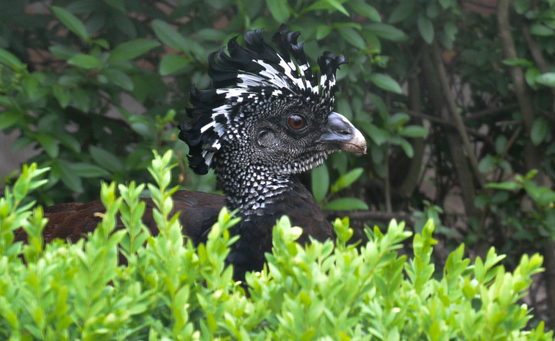 0129_Vogel_Melanie_Brunner