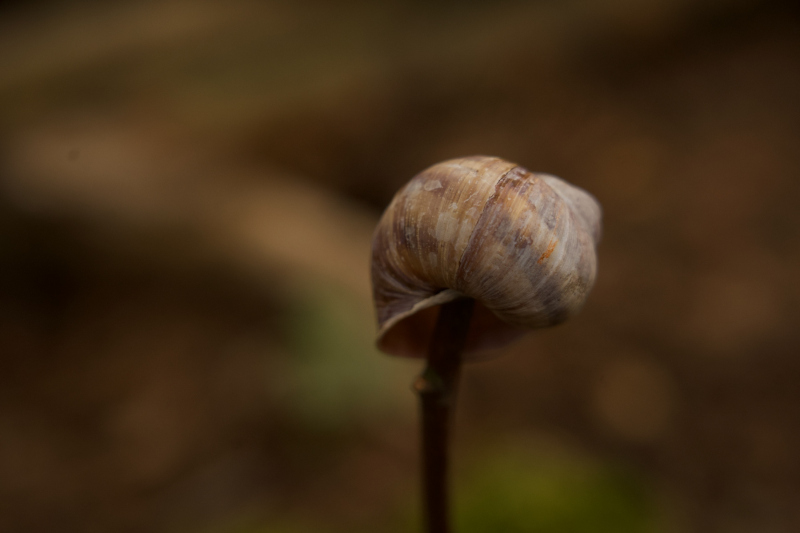 0146_TheHome_Andreas_Hutter