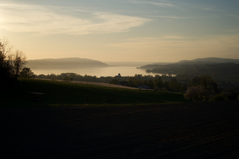 0147_Uhldingen_Andreas_Hutter