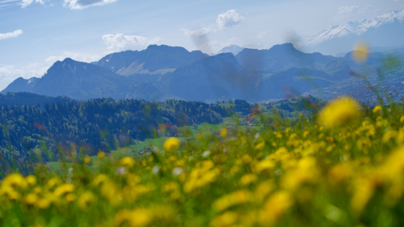 0148_Bergkette_Andreas_Hutter_