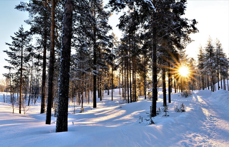 0157_Finnland_Annemarie_Maldoner-2