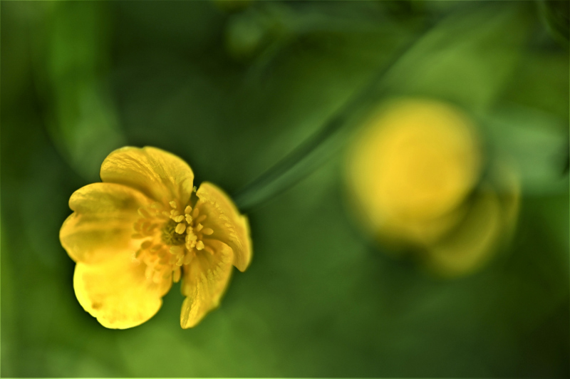 0158_Ried_Annemarie_Maldoner