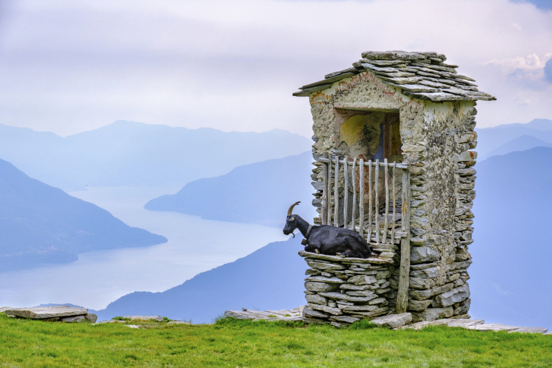 0006_Ausblick_Bertram_Waldner