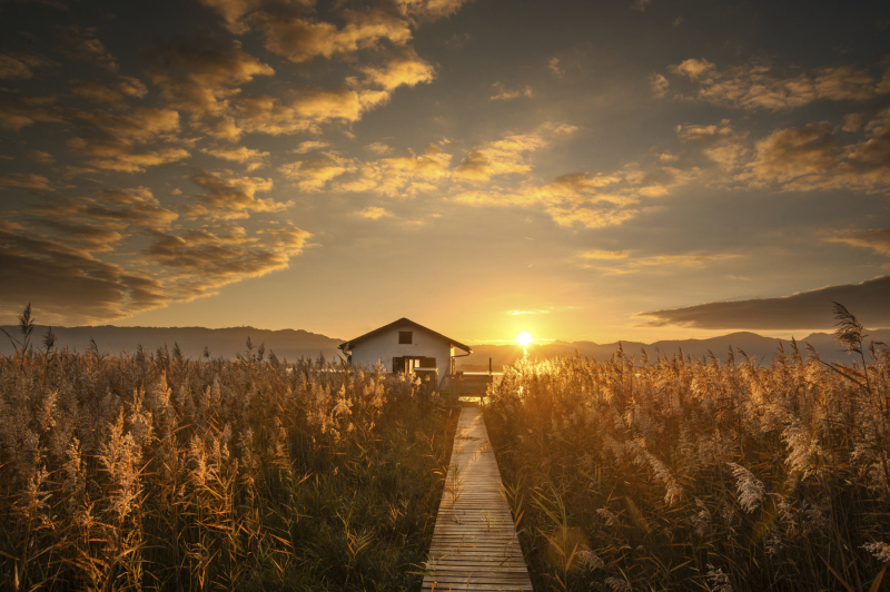 0009_Beautiful-World1_denise_neufert