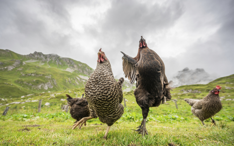 0010_Beautiful-World2_denise_neufert