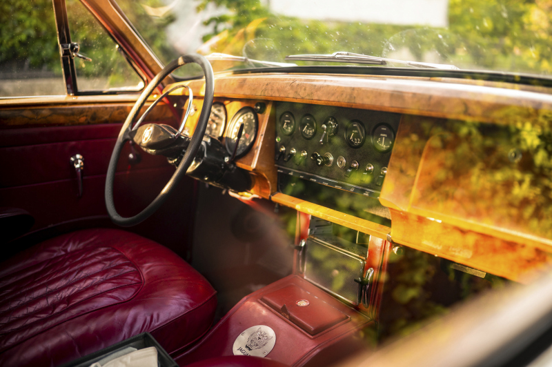 0041_Jaguar_Remo_Stechert