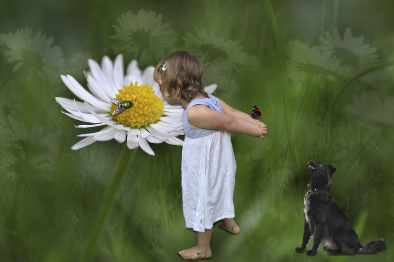 0051_Maerchenfee_Gisela_Kuzel