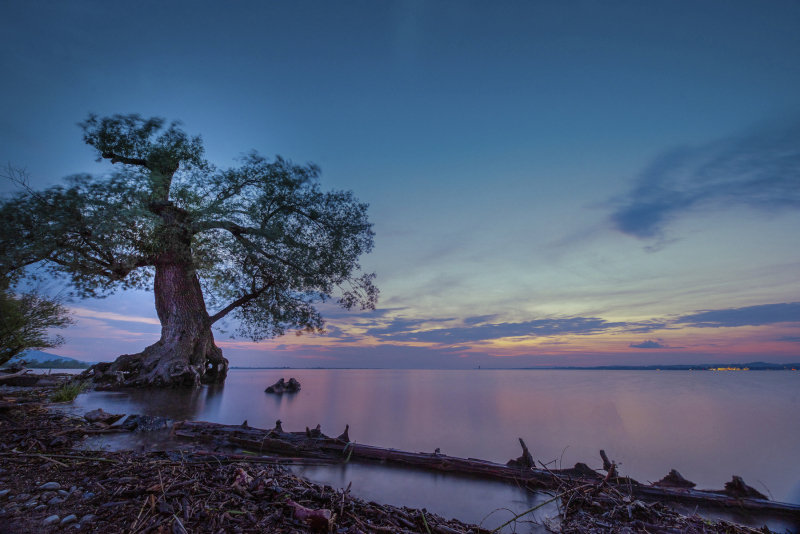 0083_Wocherhafen_Rudolf_Weingaertner