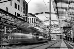 Dresden_Schuler_Christine_2020-38