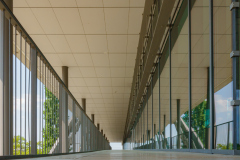 FD-2023-05-18bis21-Dresden-Sony-1800-2-54