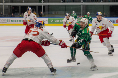 ©Thomas_Sprenger_Eishockey_W9A8264 ©Thomas_Sprenger_Eishockey_W9A8264