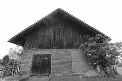 001-12_6_Desiree_Beyer