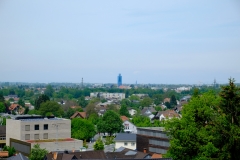 001-81_6_Yanic_Stechert