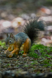 00448_Eichhoernchenwald_Fischen_260919_©-Annemarie-Maldoner@FT-Digital-2026